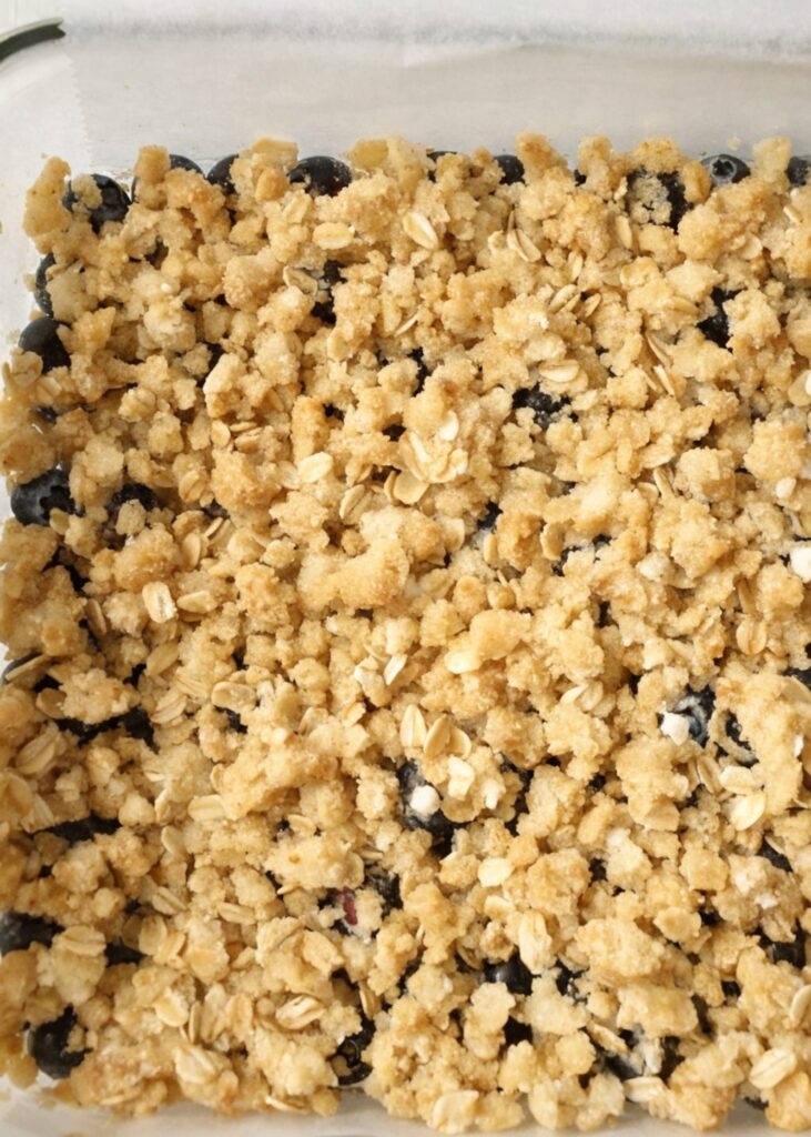 Blueberry Oatmeal Bars