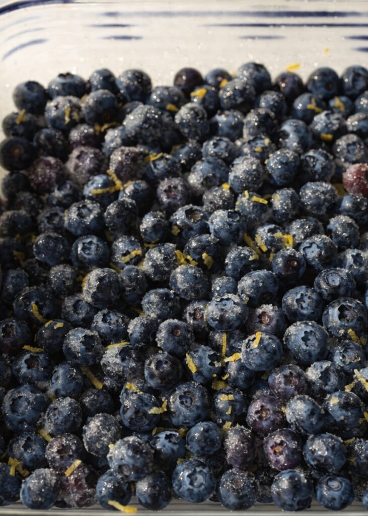 Blueberry Oatmeal Bars