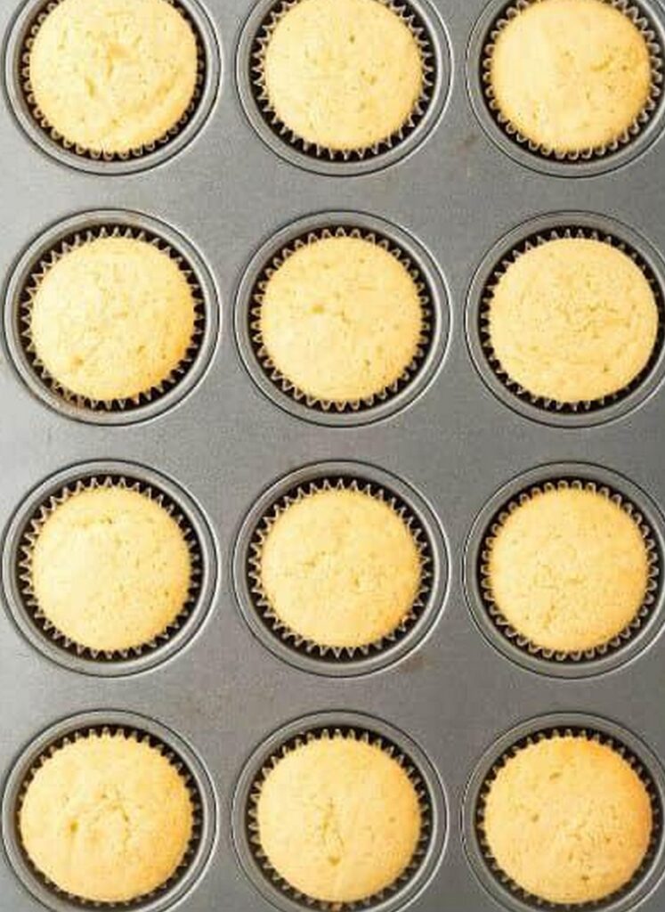 Vanilla Cupcakes
