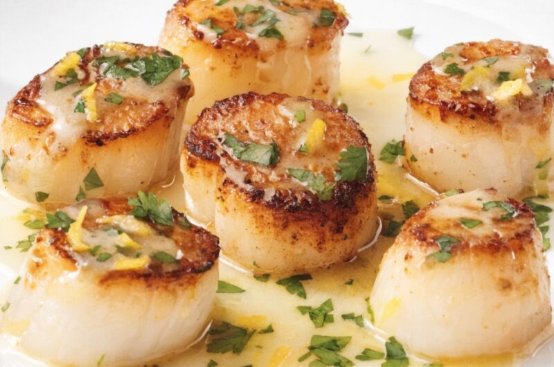 Seared Scallops