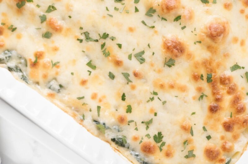 Chicken Lasagna