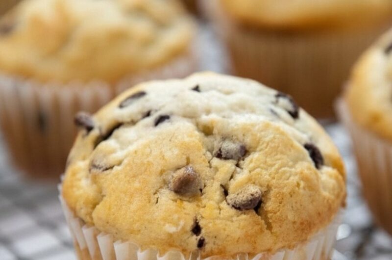 Chocolate Chip Muffin
