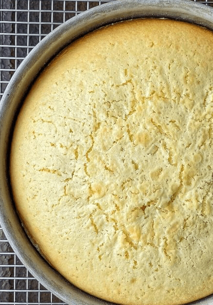 Easy Condensed Milk Cake