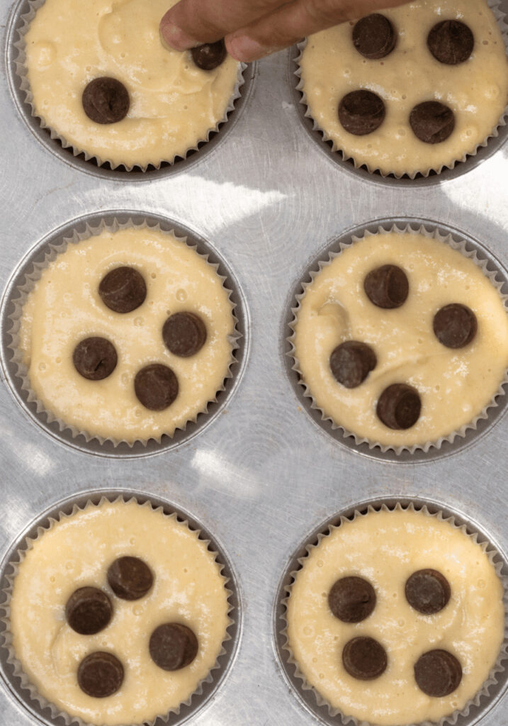 Protein Muffins