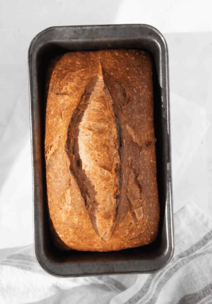 Sourdough Bread Recipe