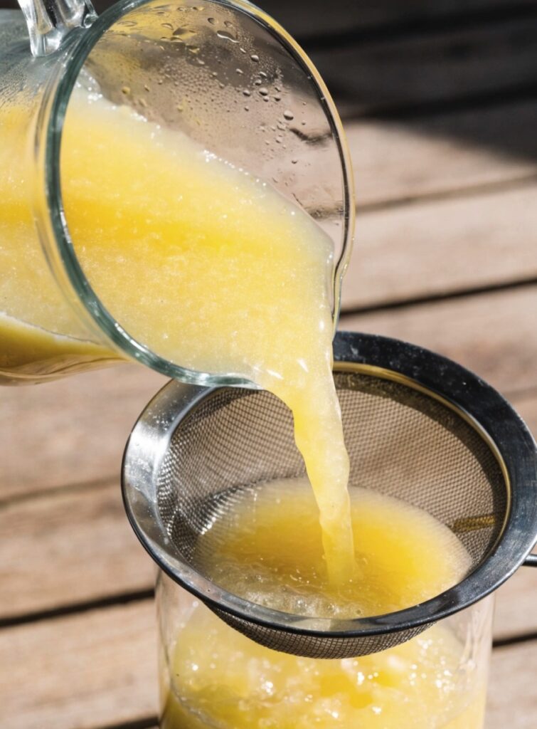 Peach Lemonade Recipe